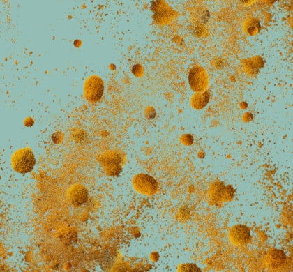 Image poudre de curry en suspension