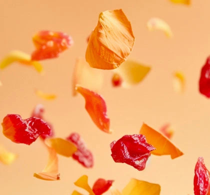 Image de couverture montrant des morceaux de fruits secs pour faire des infusion en lévitation