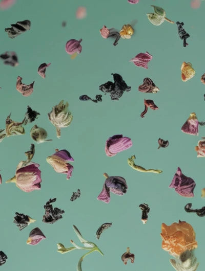 Image de couverture montrant du thé noir, du thé vert et du thé rooibos séché avec des fleurs et des pétales de rose séchés