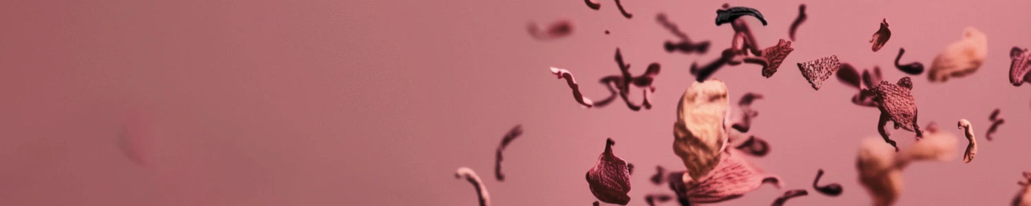 Image de couverture montrant du thé rooibos séché en lévitation