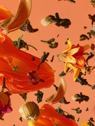 Image de couverture montrant des fleurs séchées et de la tisane en lévitation pour faire des infusion