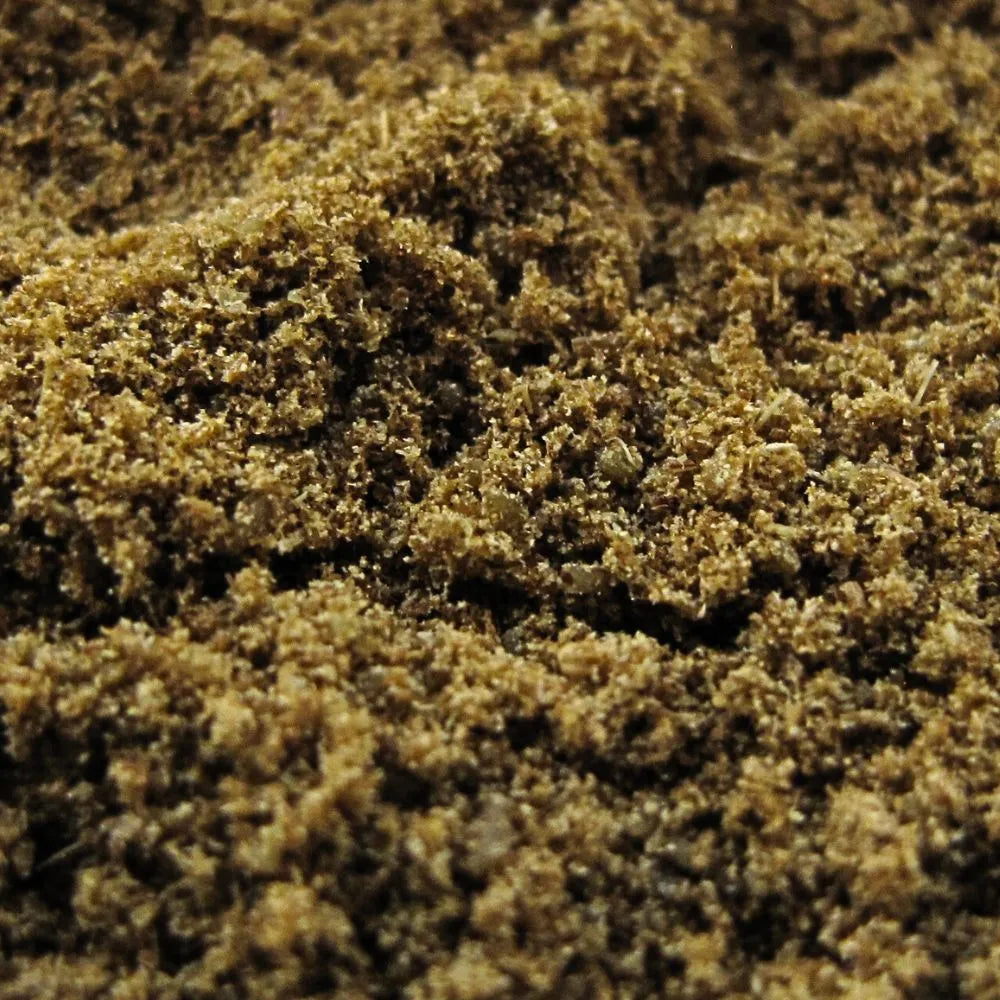 Cumin en poudre