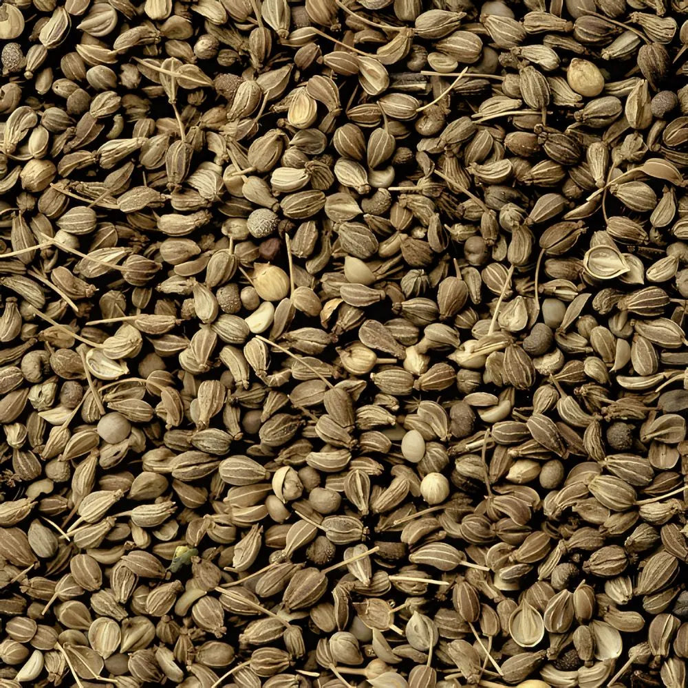 Zoom sur de l'anis vert en grains