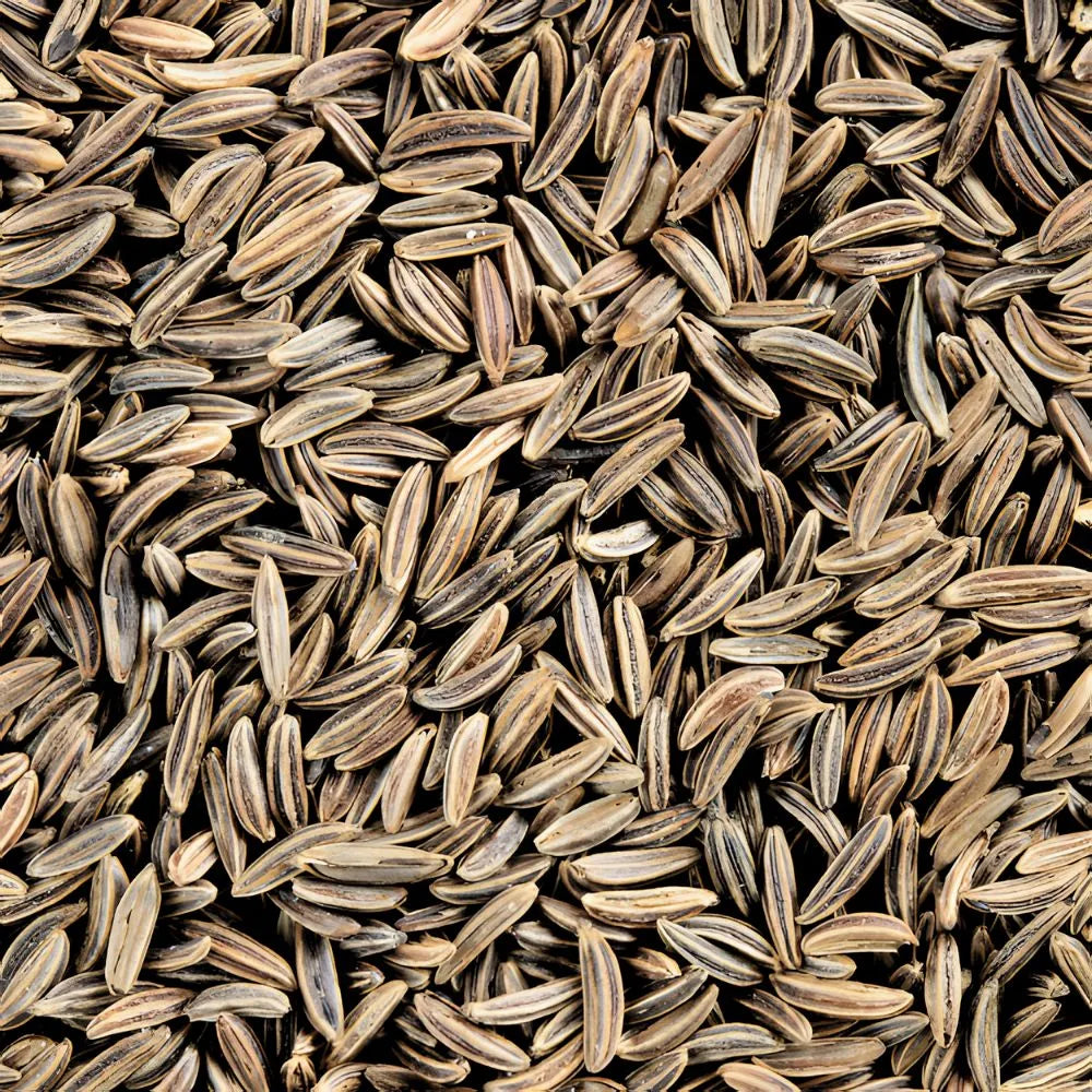 Graine de cumin