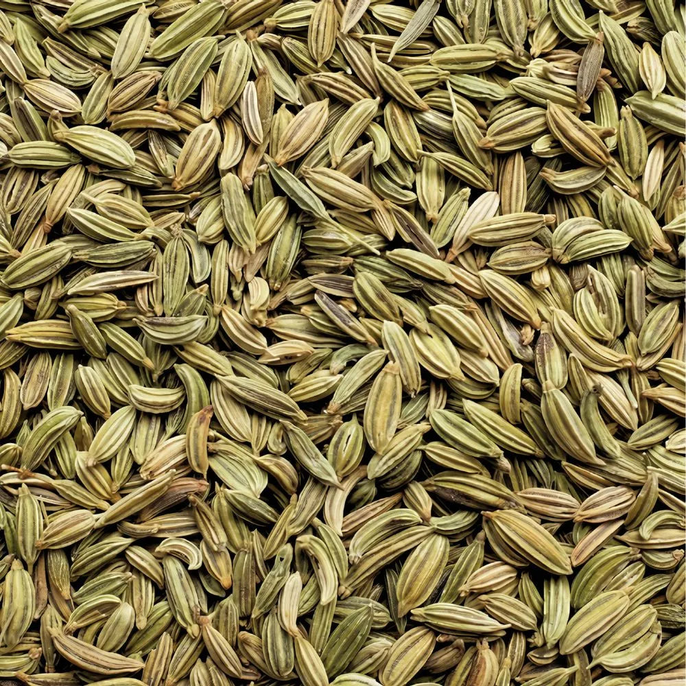 Graine de fenouil