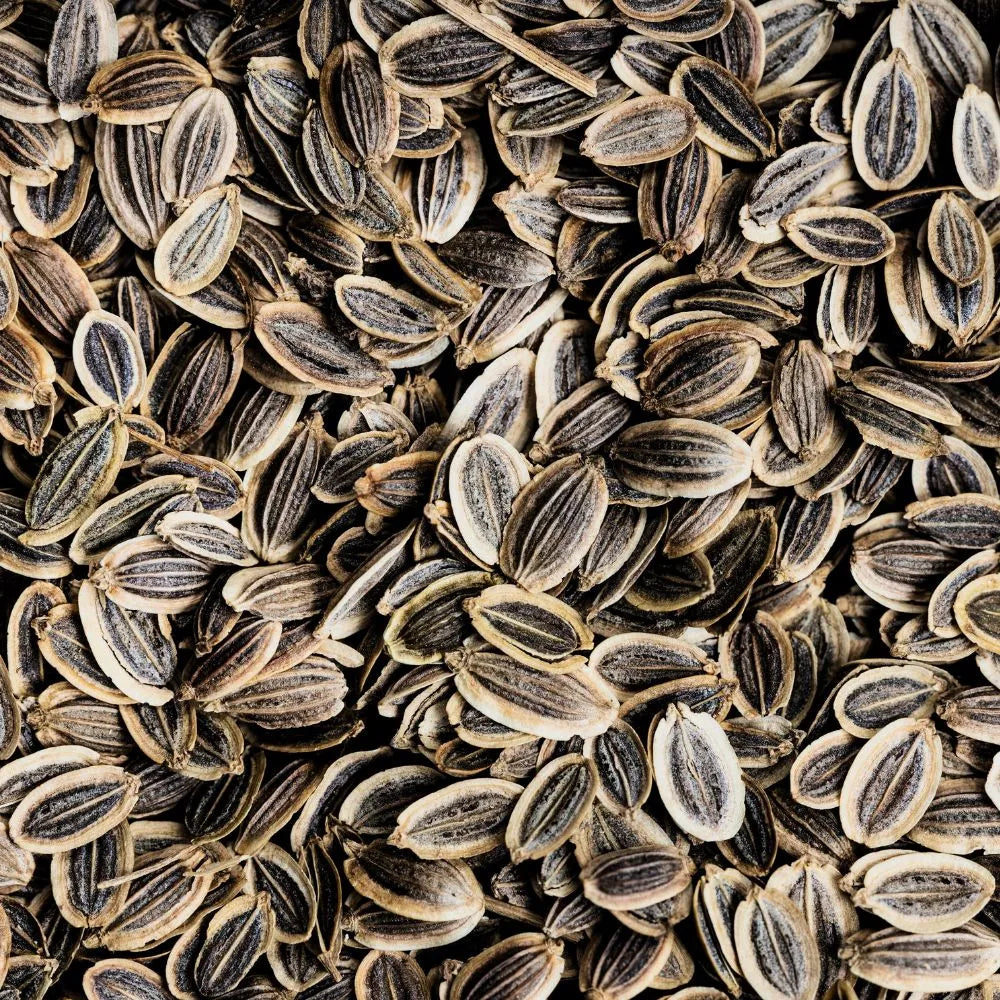 Zoom sur les graines d'aneth Flaavup® en vrac