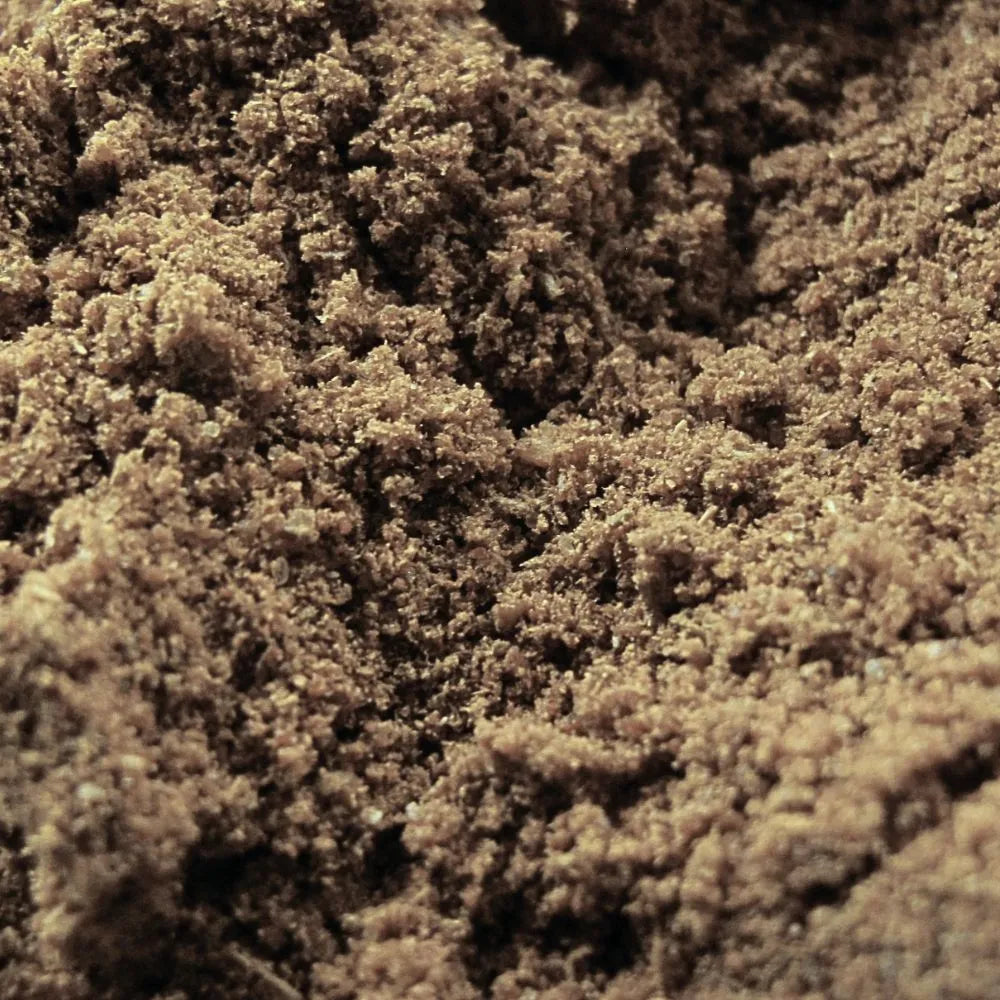 Cardamome en poudre