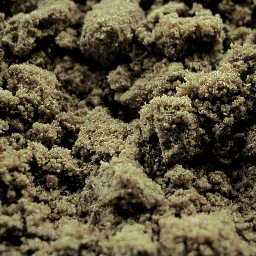 Zoom sur la coriandre moulue