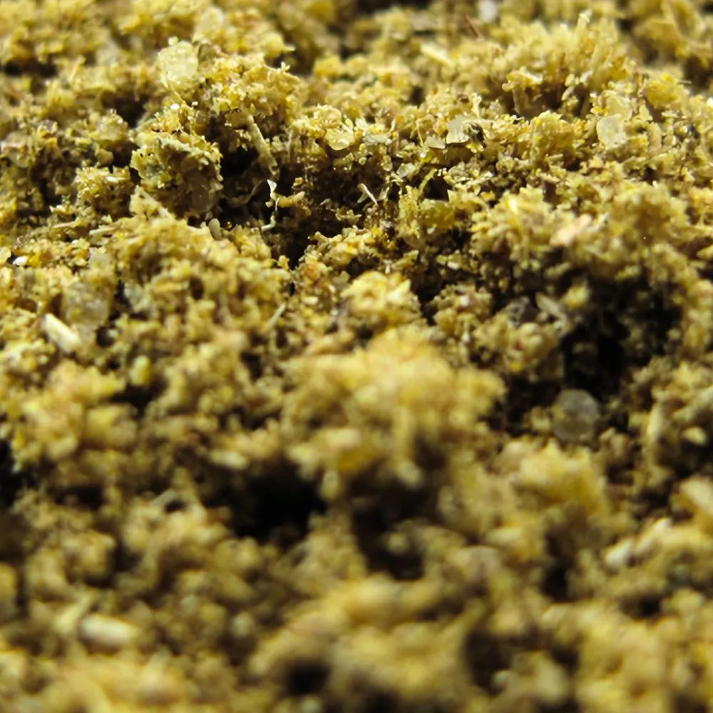 Curry vert en poudre