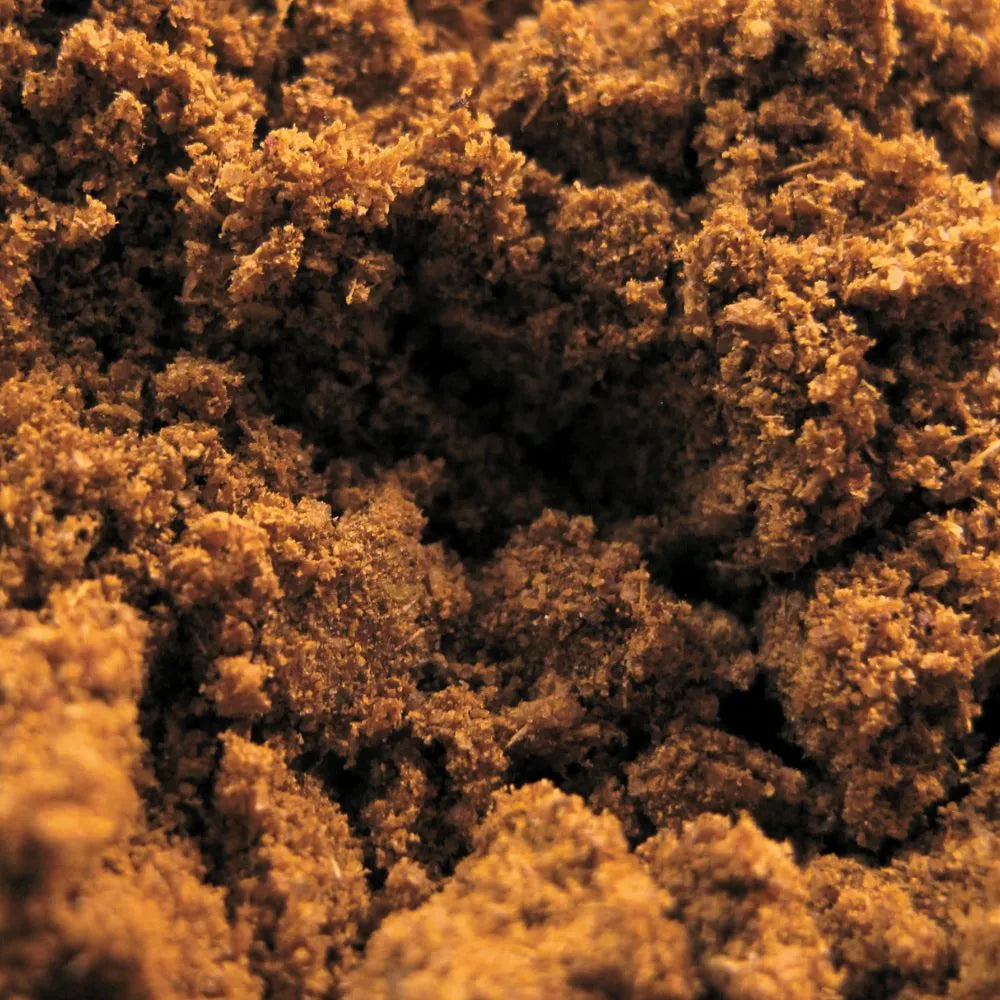 Garam Masala