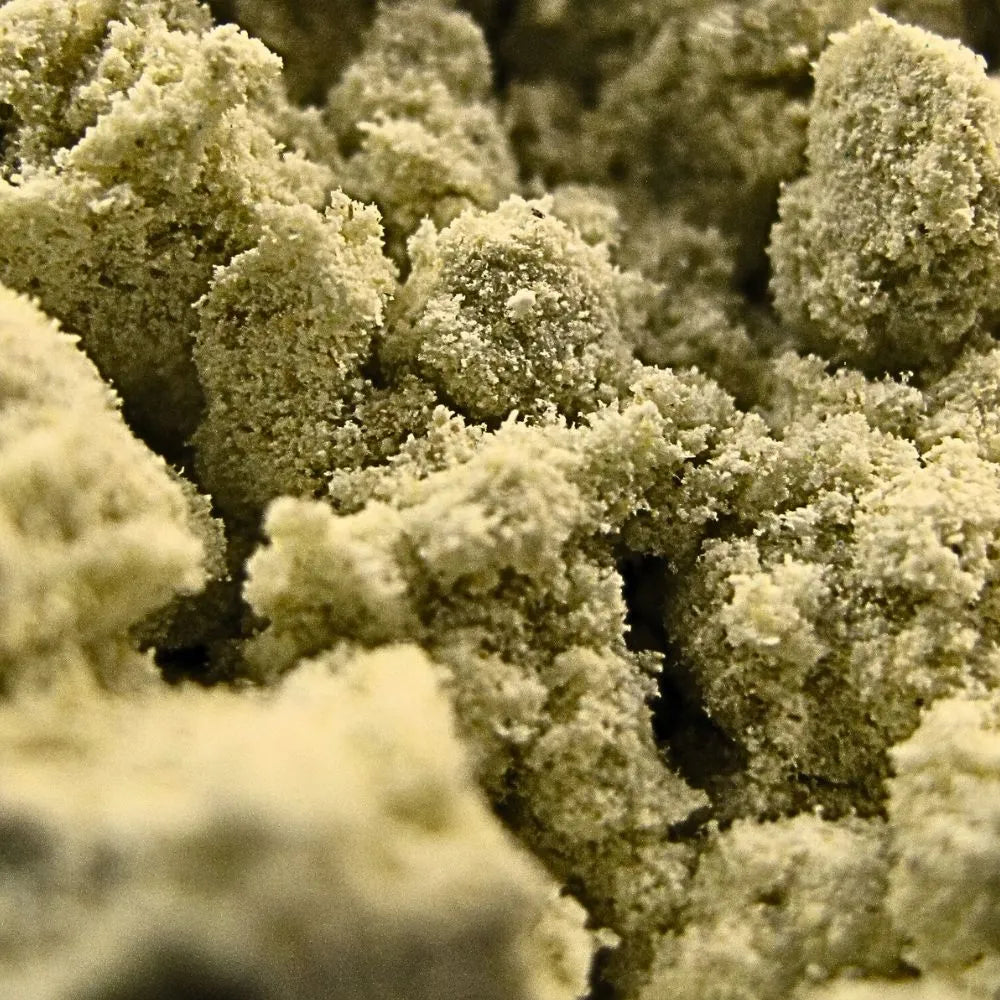 Zoom sur la poudre de gingembre moulue