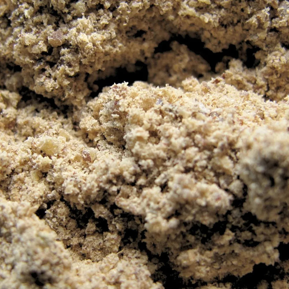 Zoom sur le poivre blanc moulu