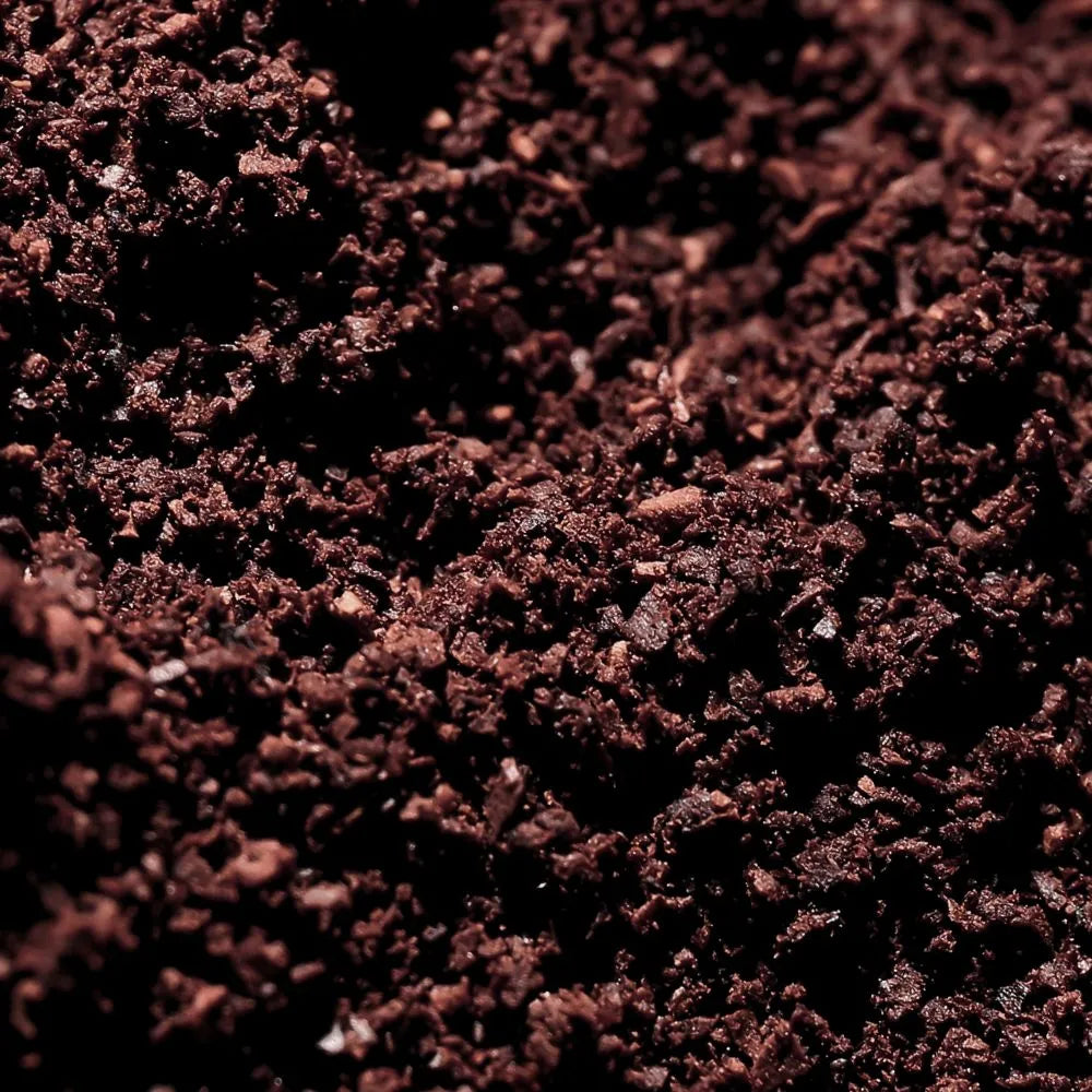Zoom sur la poudre de sumac