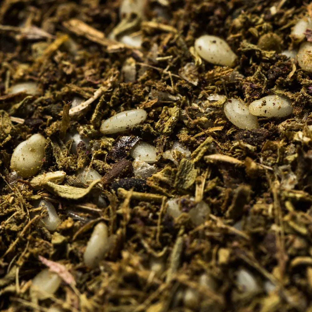 Zoom sur le mélange zaatar libanais
