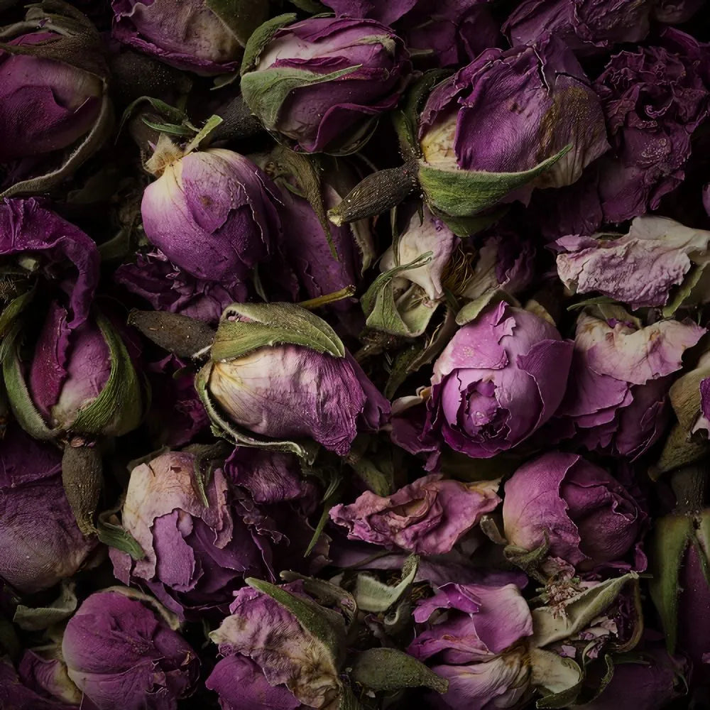Bouton de rose
