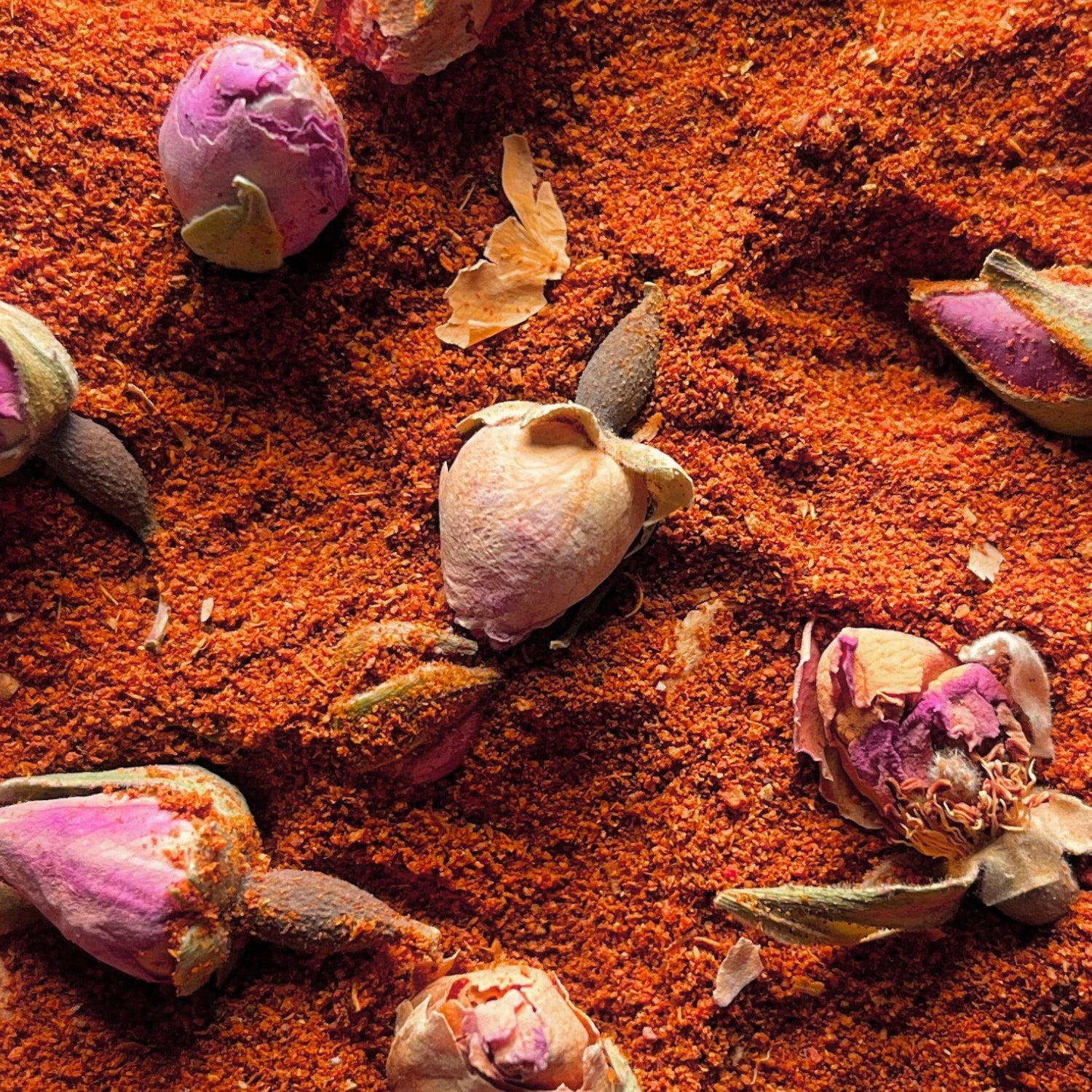 Zoom sur le mélange d'épices en poudre pour couscous