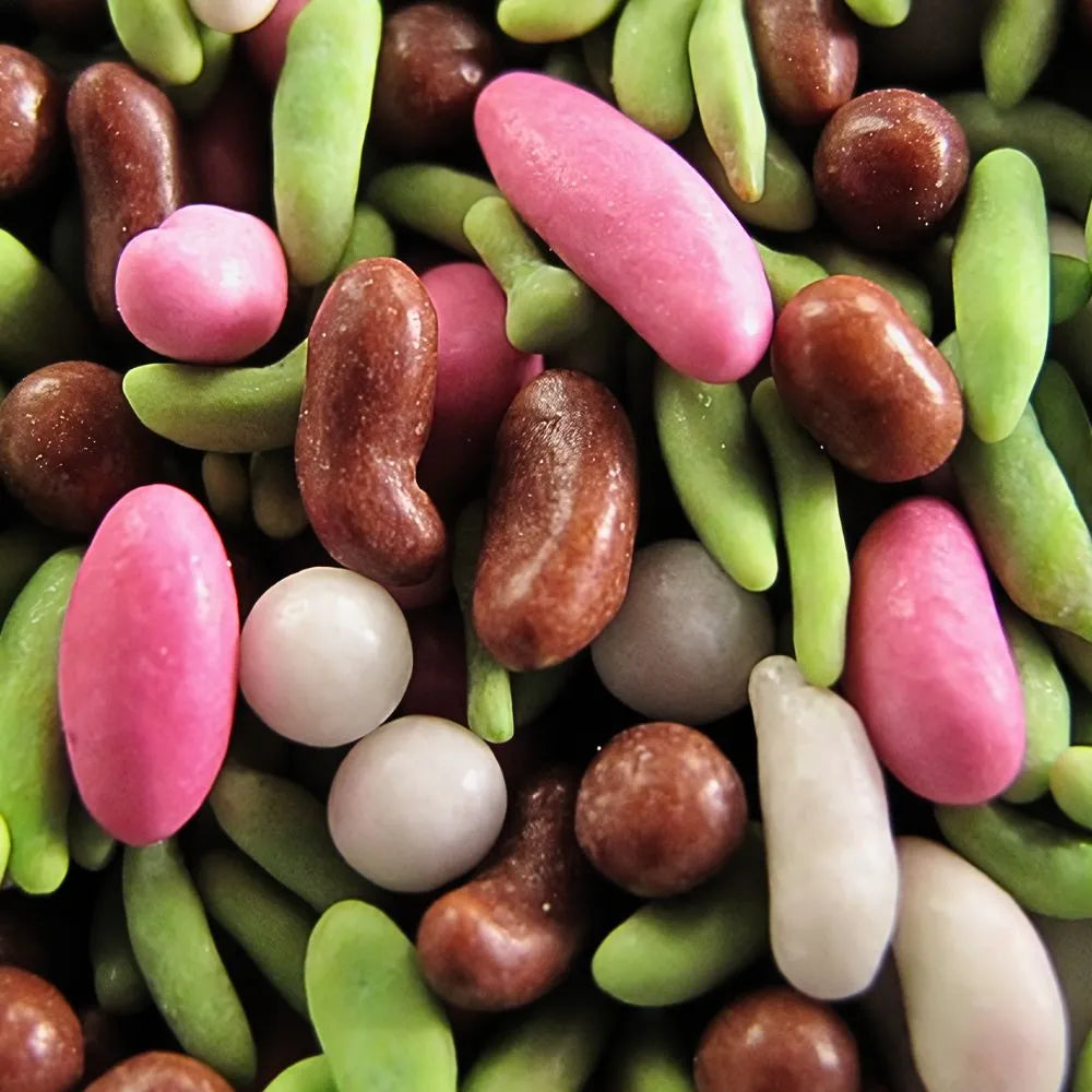 Zoom sur les graines de pan masala