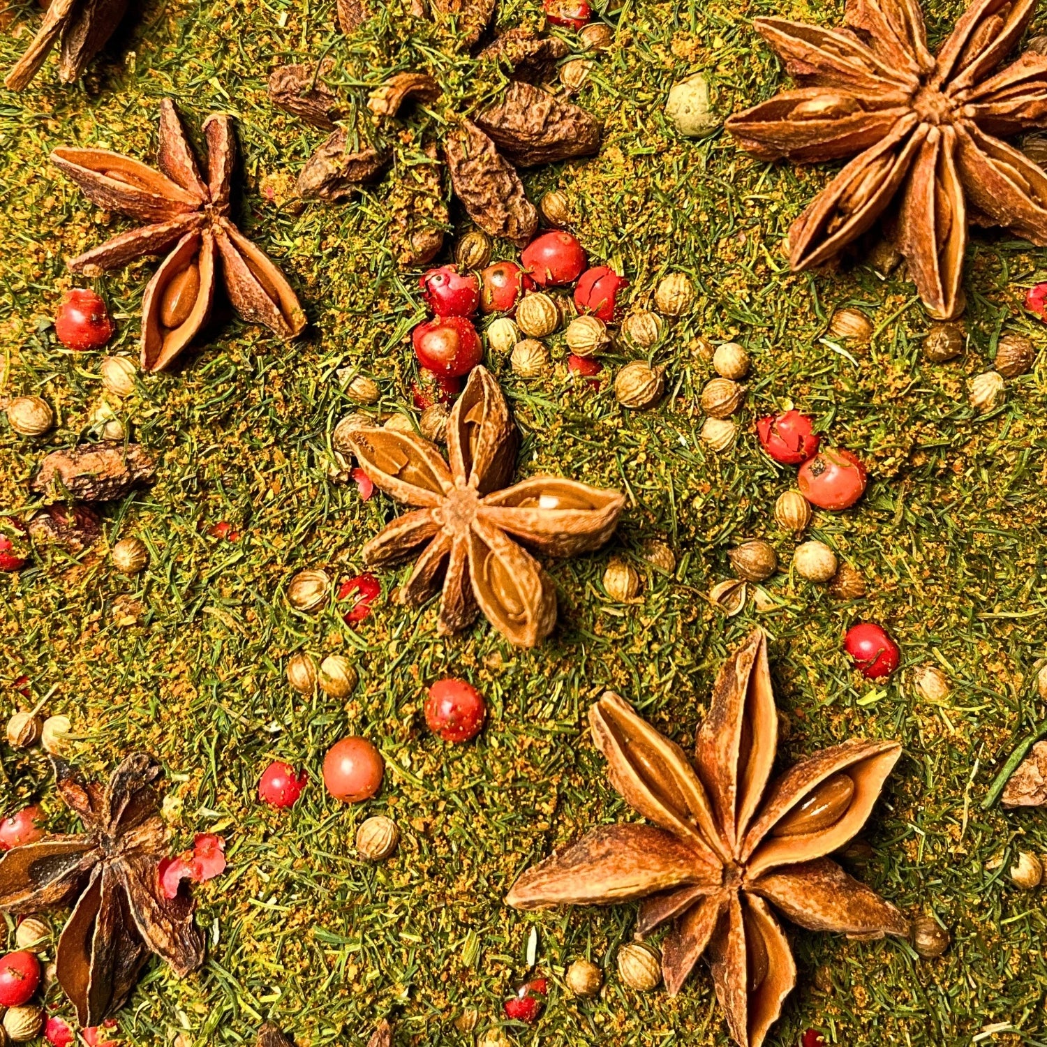 Zoom sur le mélange d'épices poisson et son anis étoilée