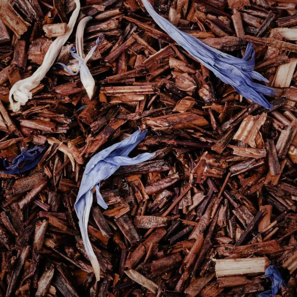 Zoom sur le rooibos et le bleuet du mélange de Rooibos Honeybush