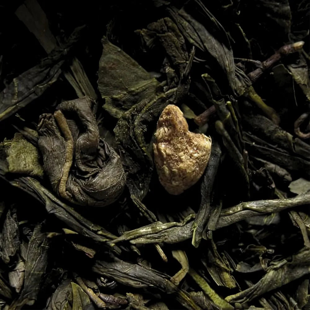 Thé Sencha gingembre