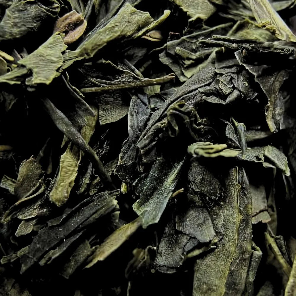 Thé sencha