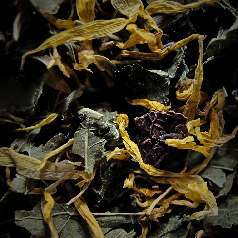 Zoom sur la feuille de mûrier et les autre feuilles du mélange de la tisane allaitement