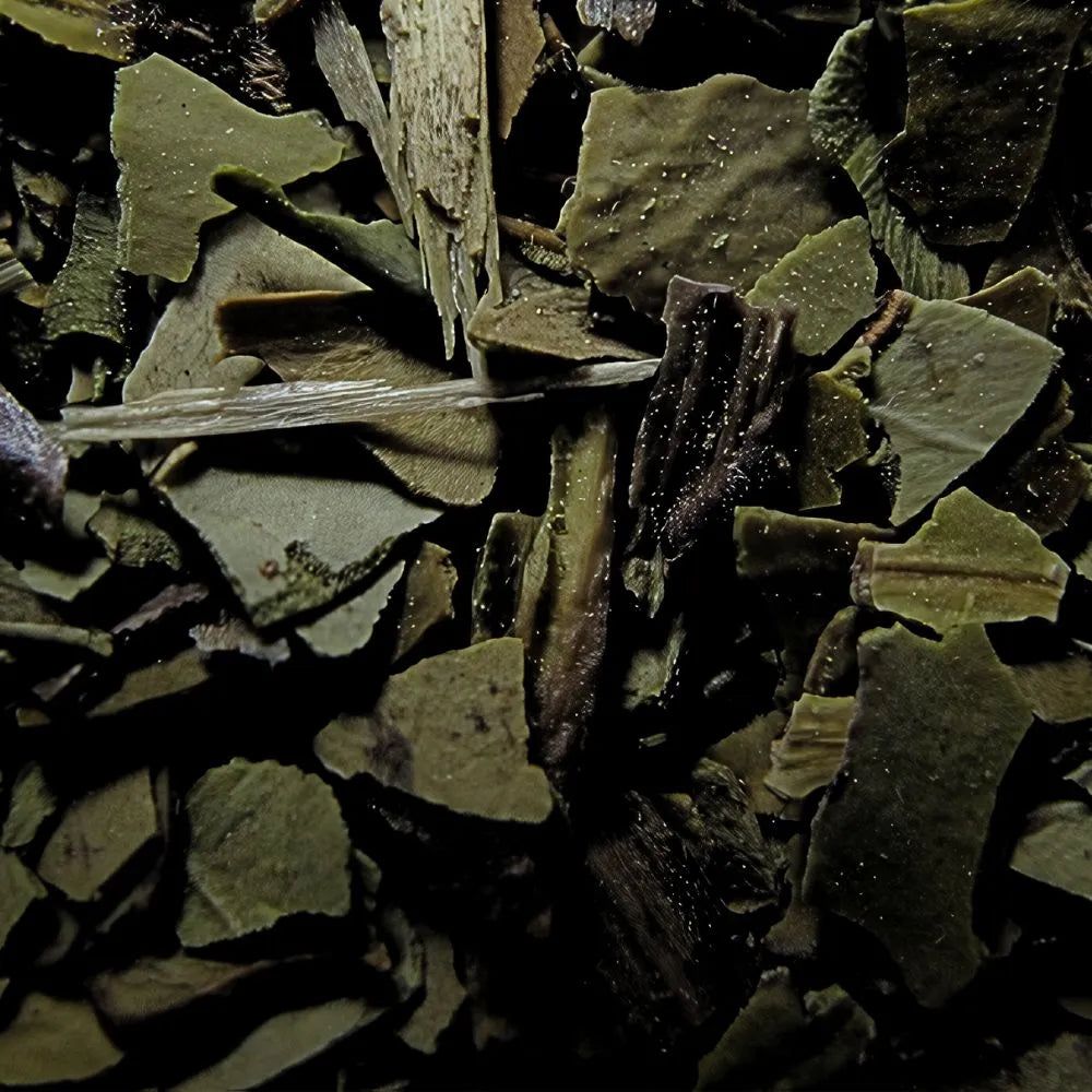 Zoom sur les feuilles de maté séchées