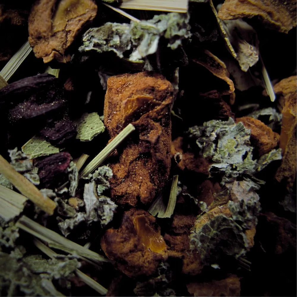 Zoom sur l'orange l'eucalyptus et la citronnelle de la tisane nuit calme