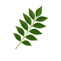 Caloupilé