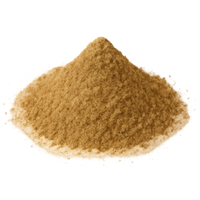 Coriandre