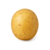 PDT